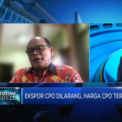 Larangan Ekspor CPO Efektif Jaga Pasokan Migor? Ini Kata Ahli