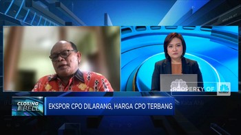 Larangan Ekspor CPO Efektif Jaga Pasokan Migor? Ini Kata Ahli