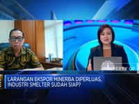 Larangan Ekspor Minerba Diperluas, Industri Smelter Siap?
