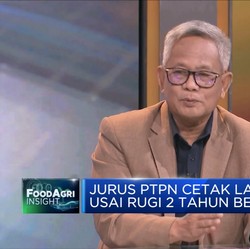 Lebih Besar Dari Wilmar, PalmCo Bakal IPO Hingga Rp 10 T