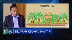 Sejarah Kelapa Sawit RI