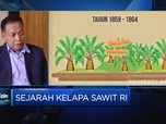 Sejarah Kelapa Sawit RI