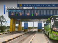 Alasan INATak Investasi di Tempat Lain, Selain 4 Sektor Ini