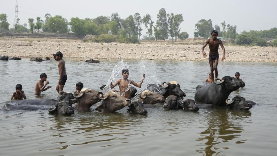 Suhu Musim Panas India