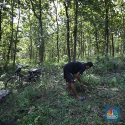 DPR Imbau Revisi UU KSDAHE Kedepankan Asas Kehati-hatian