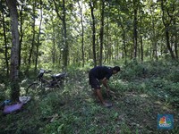 Aturan Penggunaan Kawasan Hutan Perlu Sosialisasi Serius