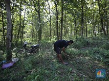 DPR Imbau Revisi UU KSDAHE Kedepankan Asas Kehati-hatian