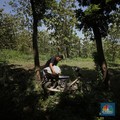 Terungkap! Ini Penyebab Anak Muda Ogah Jadi Petani