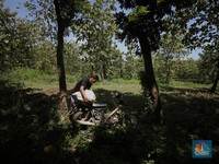 Terungkap! Ini Penyebab Anak Muda Ogah Jadi Petani