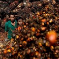 Tak Ada Kabar Baik, CPO Lagi-lagi Merosot