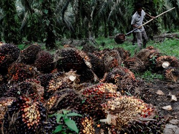 Kegagalan Ini Patut Disyukuri, RI Dibuat Selamat dari Resesi!