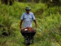 Peringatan Bahaya, Ternyata Separah Ini Efek UU Baru Eropa