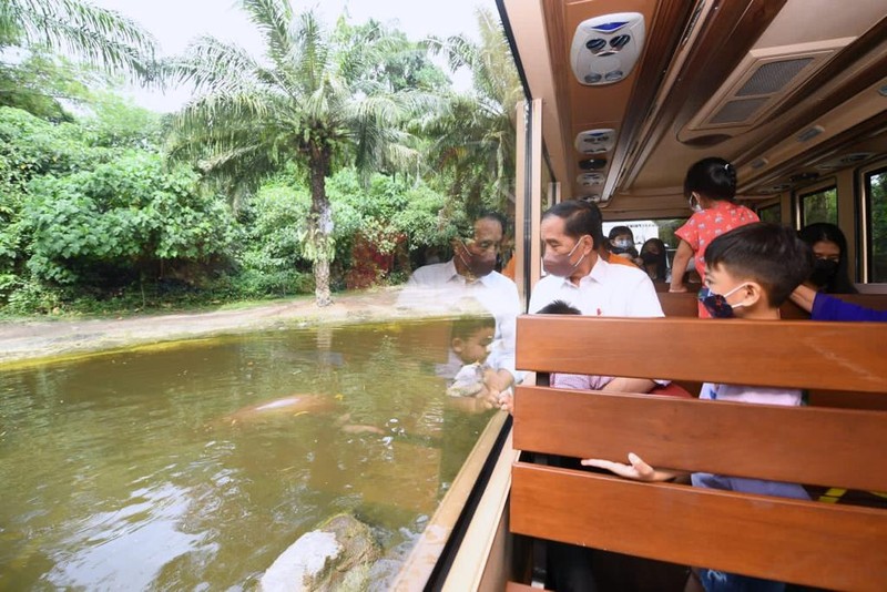 Presiden Jokowi Ajak Cucu Wisata Satwa di Bali Presiden beserta Ibu Iriana Joko Widodo mengajak anak beserta cucu melakukan wisata satwa di Bali Safari & Marine Park, Kabupaten Gianyar, pada Kamis, 5 Mei 2022. (BPMI Setpres/Lukas)