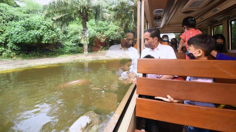 Presiden beserta Ibu Iriana Joko Widodo mengajak anak beserta cucu melakukan wisata satwa di Bali Safari & Marine Park, Kabupaten Gianyar, pada Kamis, 5 Mei 2022. (BPMI Setpres/Lukas)