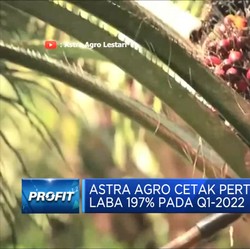 Astra Agro Cetak Pertumbuhan Laba 197% Pada Q1-2022