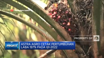 Astra Agro Cetak Pertumbuhan Laba 197% Pada Q1-2022