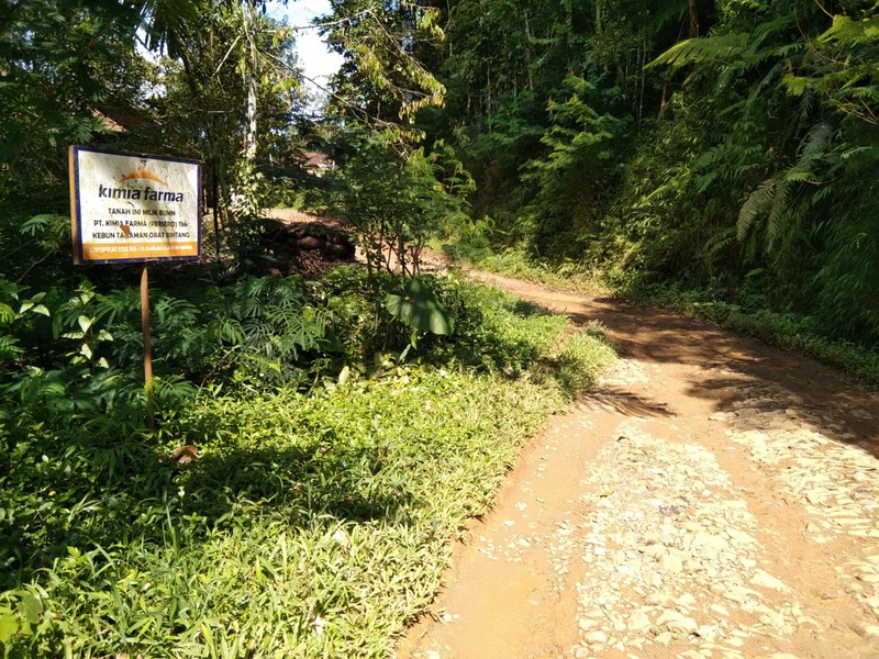 Jalan Rusak di Padasuka, Cibinong, Cianjur Jawa Barat  (CNBC Indonesia/Suhendra)