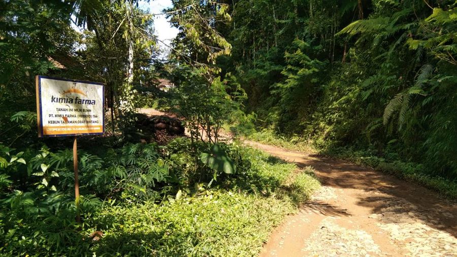 Jalan Rusak di Padasuka, Cibinong, Cianjur Jawa Barat  (CNBC Indonesia/Suhendra)