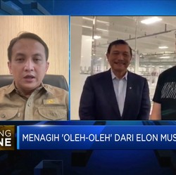 Orang Dalam Bocorkan Hasil Rapat Elon Musk-Luhut, Ini Isinya