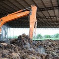 Jokowi Buka Keran Ekspor CPO, Saham Emiten Sawit Terbang