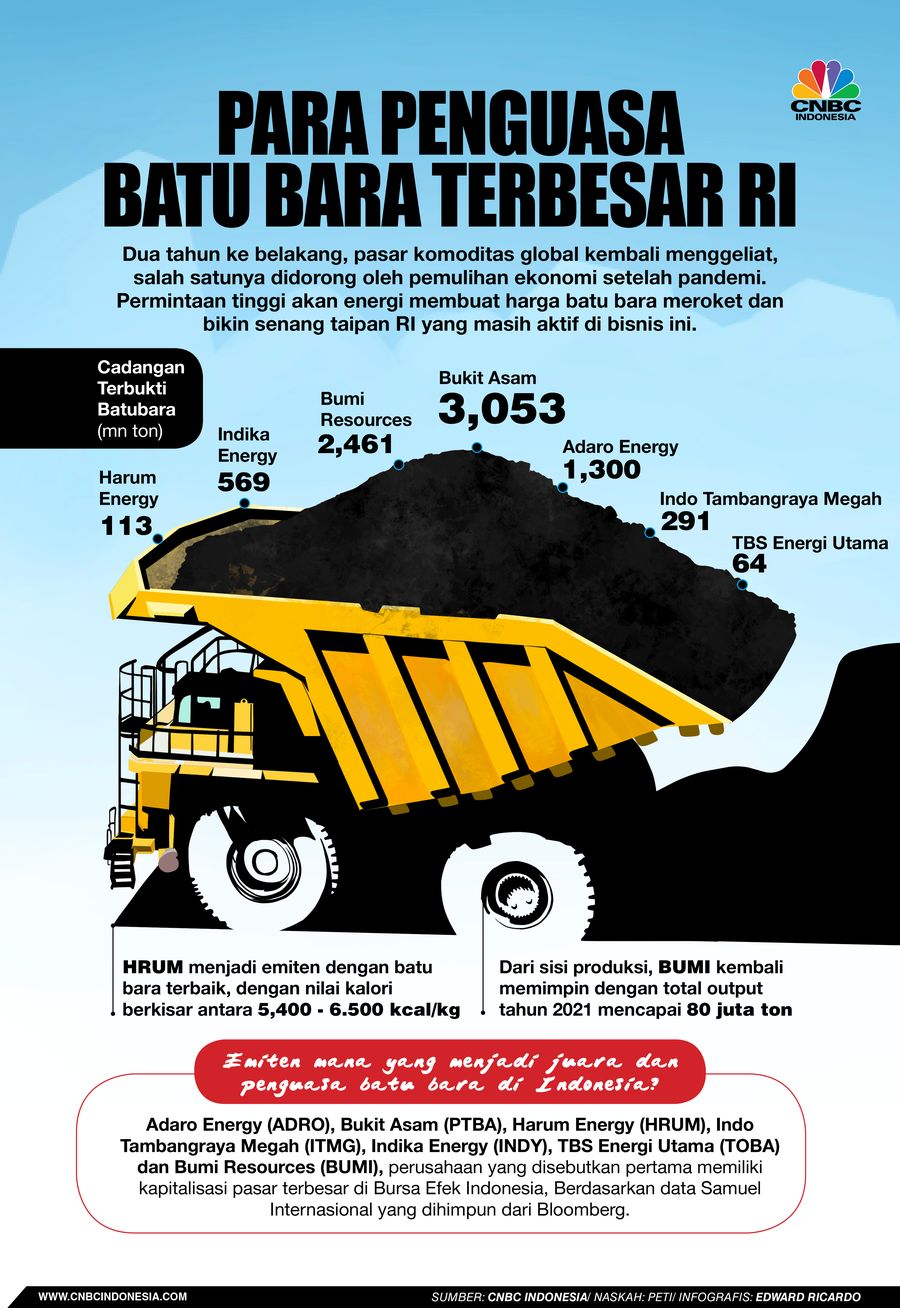Infografis, Para penguasa Batubara Terbesar RI