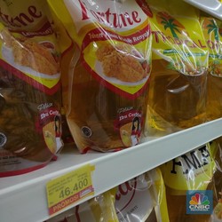 Jokowi Effect: Harga Sawit Tembus Rekor Tapi Petani Menjerit