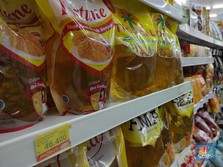 Jokowi Effect: Harga Sawit Tembus Rekor Tapi Petani Menjerit