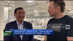 Ternyata Ini Isi Pertemuan Luhut dan Elon Musk