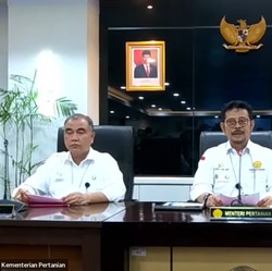 Mentan: PMK Pada Sapi Tak Menular ke Manusia