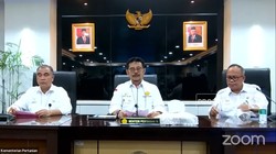 3 Intervensi Mentan Atasi Wabah PMK Ternak di Aceh & Jatim