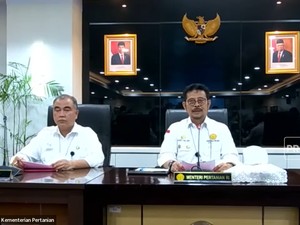 3 Intervensi Mentan Atasi Wabah PMK Ternak di Aceh & Jatim