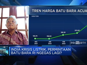 Penambang Minta Pembentukan Entitas Khusus Batu Bara Ditunda