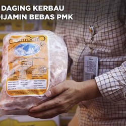 Buwas: Daging Kerbau Impor Dijamin Bebas PMK