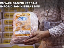 Buwas: Daging Kerbau Impor Dijamin Bebas PMK