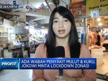 Ada Wabah Penyakit Mulut & Kuku, Jokowi Minta Lockdown Zonasi