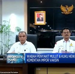 Daging Sapi Kena PMK Ternyata Masih Bisa Dimakan, Kok Bisa?