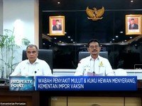 Daging Sapi Kena PMK Ternyata Masih Bisa Dimakan, Kok Bisa?