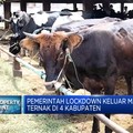 Wabah PMK Serang Ternak Indonesia, Harga Daging Sapi Naik?