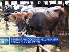 Wabah PMK Serang Ternak Indonesia, Harga Daging Sapi Naik?