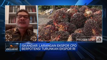 Ekspor CPO Dilarang Sementara, Ekonomi RI Rugi Berapa?