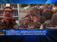 Ekspor CPO Dilarang Sementara, Ekonomi RI Rugi Berapa?