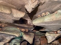 Pesona Wisata Makam Kuno di Tana Toraja