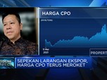 Harga CPO Meroket, Pengusaha Harap Larangan Ekspor RI Dicabut
