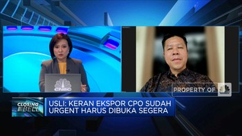 Pengusaha Sawit Ungkap Potensi Kerugian Larangan Ekspor CPO