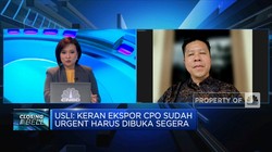 Pengusaha Sawit Ungkap Potensi Kerugian Larangan Ekspor CPO