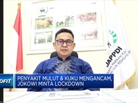Ternak Terjangkit Wabah PMK, Penjualan Daging Terdampak?