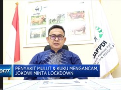 Ternak Terjangkit Wabah PMK, Penjualan Daging Terdampak?