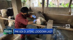 15 Sapi di Boyolali Terjangkit Wabah PMK