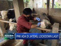 15 Sapi di Boyolali Terjangkit Wabah PMK
