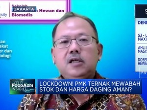 Ahli Pastikan Virus PMK Ternak Tidak Akan Menular Ke Manusia